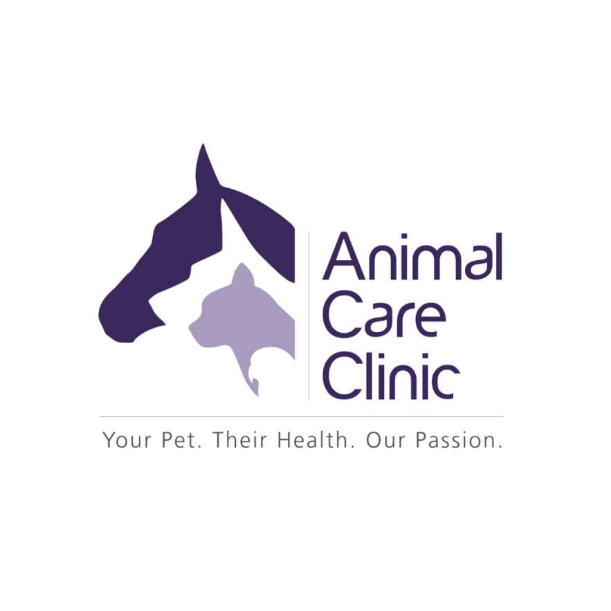 animal care clinic