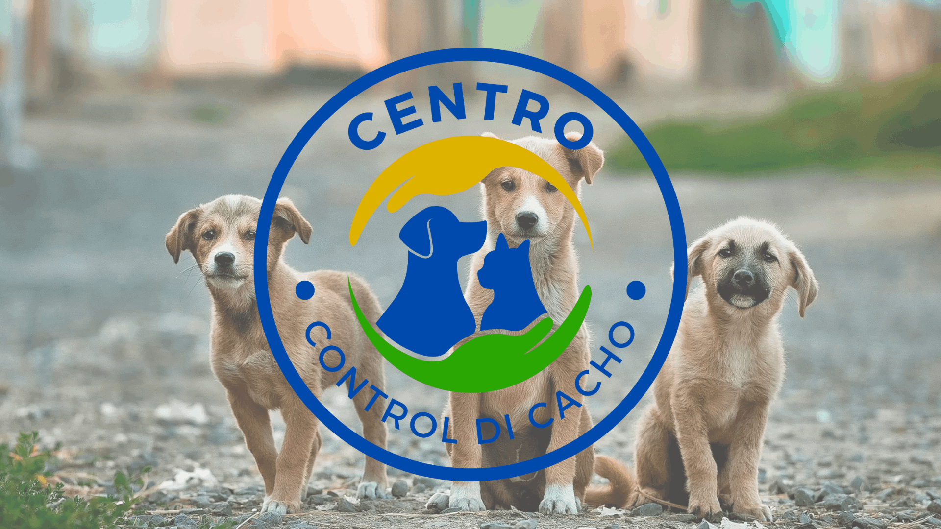 centro control di cacho