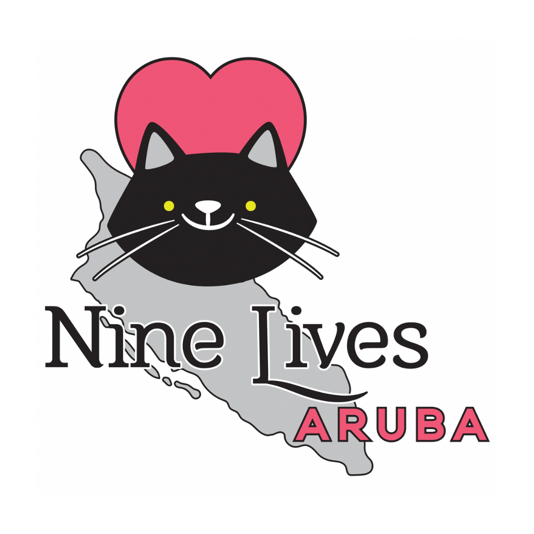 nine lives foundation