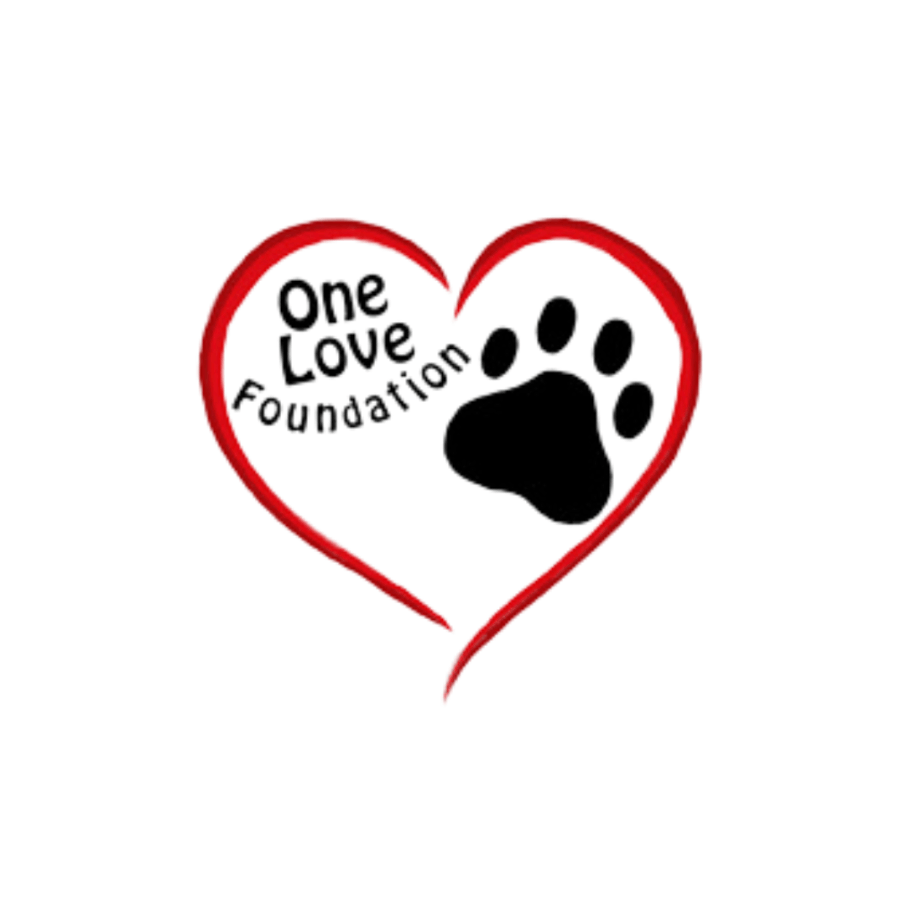 one love foundation inc.