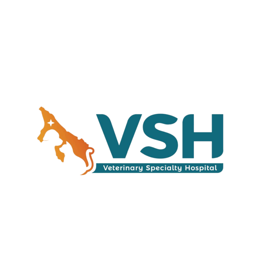 veterinary specialty hospital